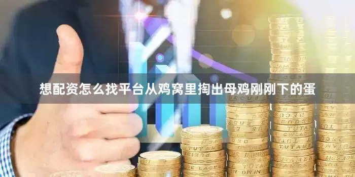 想配资怎么找平台从鸡窝里掏出母鸡刚刚下的蛋