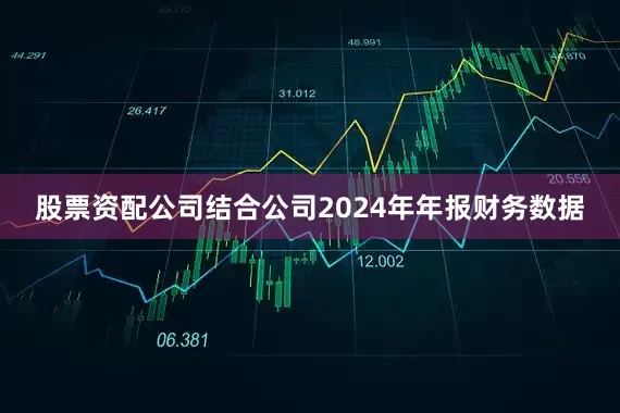 股票资配公司结合公司2024年年报财务数据