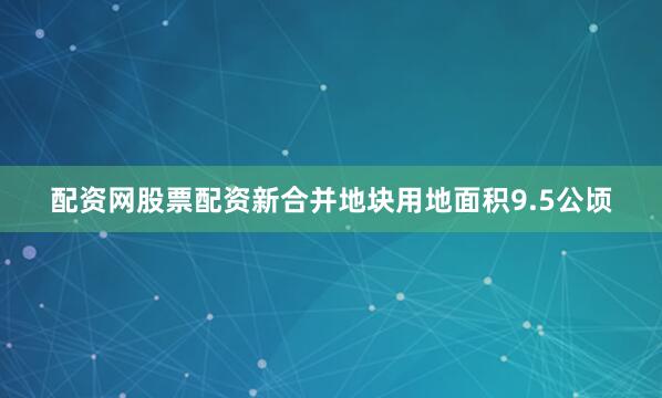 配资网股票配资新合并地块用地面积9.5公顷