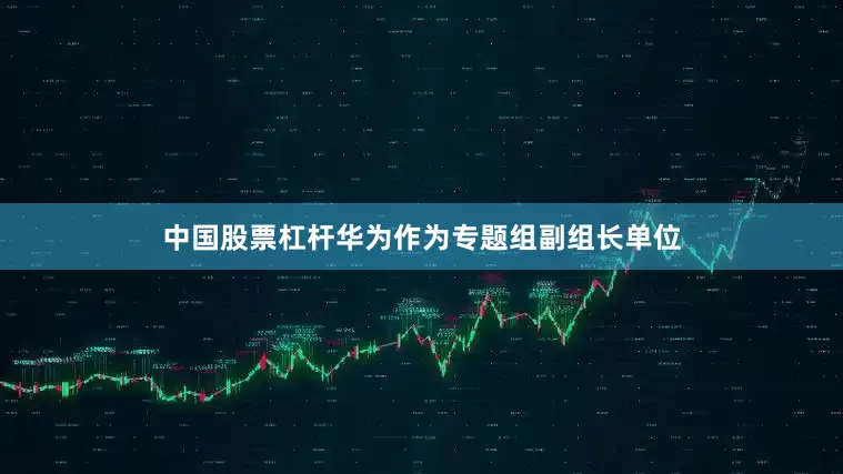 中国股票杠杆华为作为专题组副组长单位