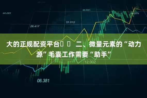 大的正规配资平台⚡️ 二、微量元素的“动力源”毛囊工作需要“助手”