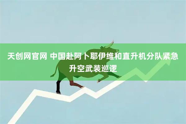天创网官网 中国赴阿卜耶伊维和直升机分队紧急升空武装巡逻