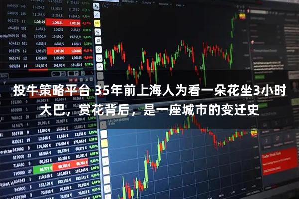 投牛策略平台 35年前上海人为看一朵花坐3小时大巴，赏花背后，是一座城市的变迁史